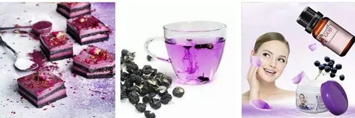 Function of Goji Berry Powder
