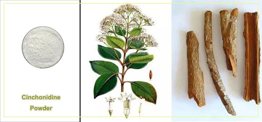 Cinchonidine powder raw material display Cinchonidine powder raw material display