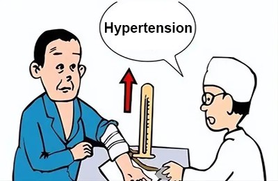 cuscuta seed extract powder low blood pressure